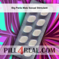 Big Penis Male Sexual Stimulant 054