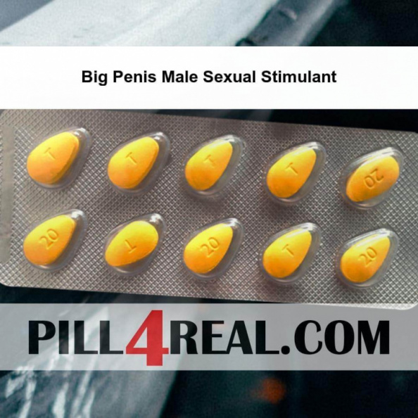Big Penis Male Sexual Stimulant 062