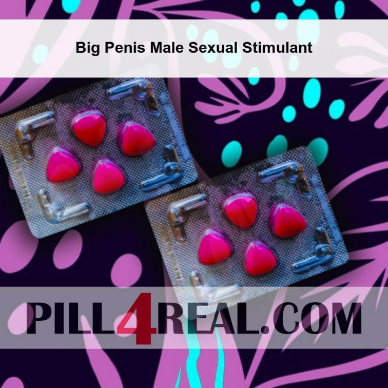 Big Penis Male Sexual Stimulant 070