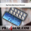 Big Penis Male Sexual Stimulant 127