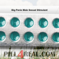 Big Penis Male Sexual Stimulant 134
