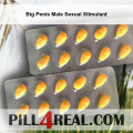 Big Penis Male Sexual Stimulant 194