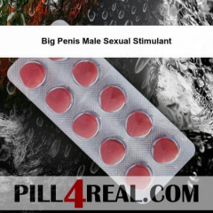 Big Penis Male Sexual Stimulant 238