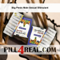 Big Penis Male Sexual Stimulant 268