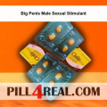 Big Penis Male Sexual Stimulant 272