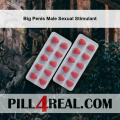 Big Penis Male Sexual Stimulant 600
