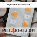Big Penis Male Sexual Stimulant 607