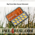 Big Penis Male Sexual Stimulant 682