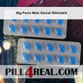 Big Penis Male Sexual Stimulant 701