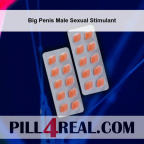 Big Penis Male Sexual Stimulant 717
