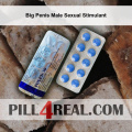 Big Penis Male Sexual Stimulant 740