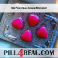 Big Penis Male Sexual Stimulant 772