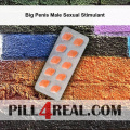 Big Penis Male Sexual Stimulant 796