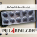 Big Penis Male Sexual Stimulant 873