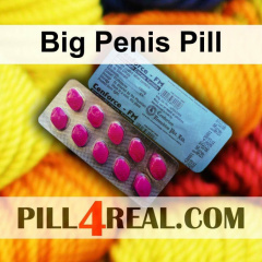 Big Penis Pill 004