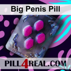 Big Penis Pill 041