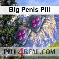 Big Penis Pill 048
