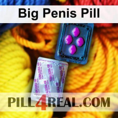 Big Penis Pill 148