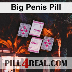Big Penis Pill 156