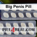 Big Penis Pill 169