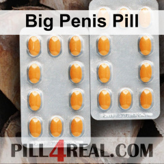 Big Penis Pill 290