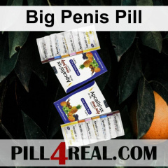 Big Penis Pill 328