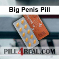 Big Penis Pill 329