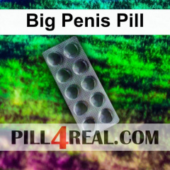 Big Penis Pill 416