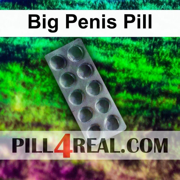 Big Penis Pill 416