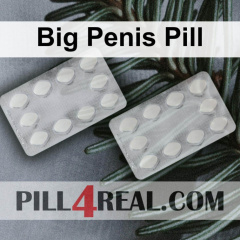 Big Penis Pill 422