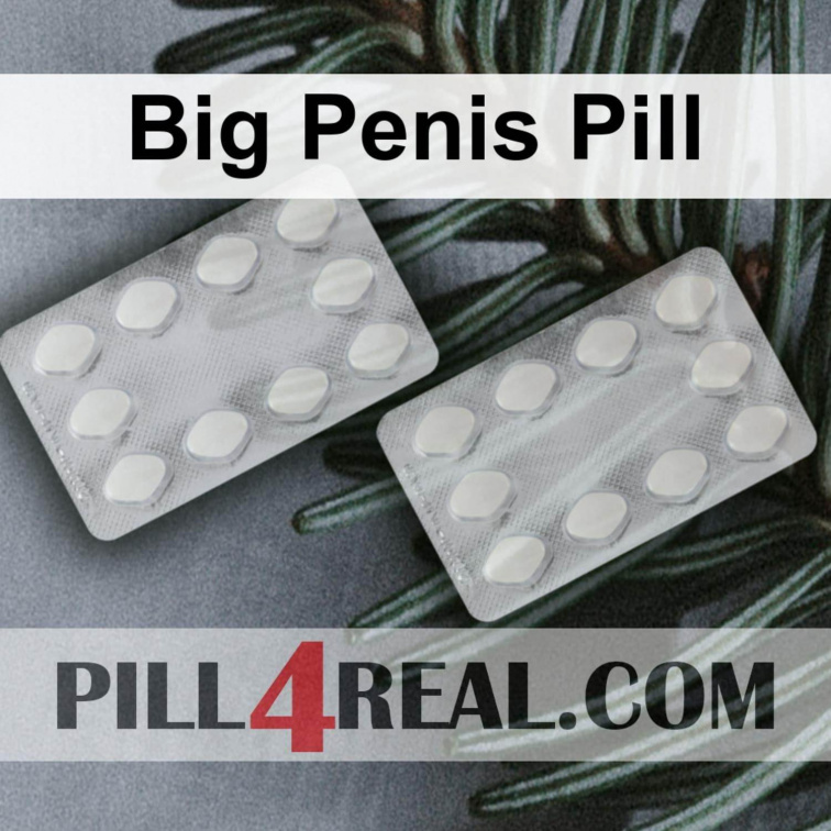 Big Penis Pill 422