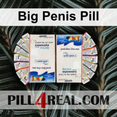 Big Penis Pill 512