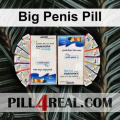 Big Penis Pill 512