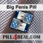 Big Penis Pill 537