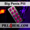 Big Penis Pill 548