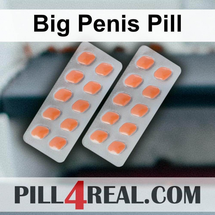 Big Penis Pill 556