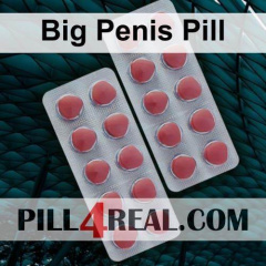 Big Penis Pill 658
