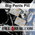 Big Penis Pill 675