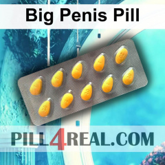 Big Penis Pill 859