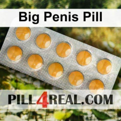 Big Penis Pill 943