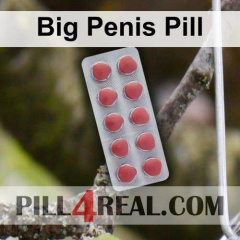 Big Penis Pill 952