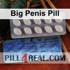 Big Penis Pill 963