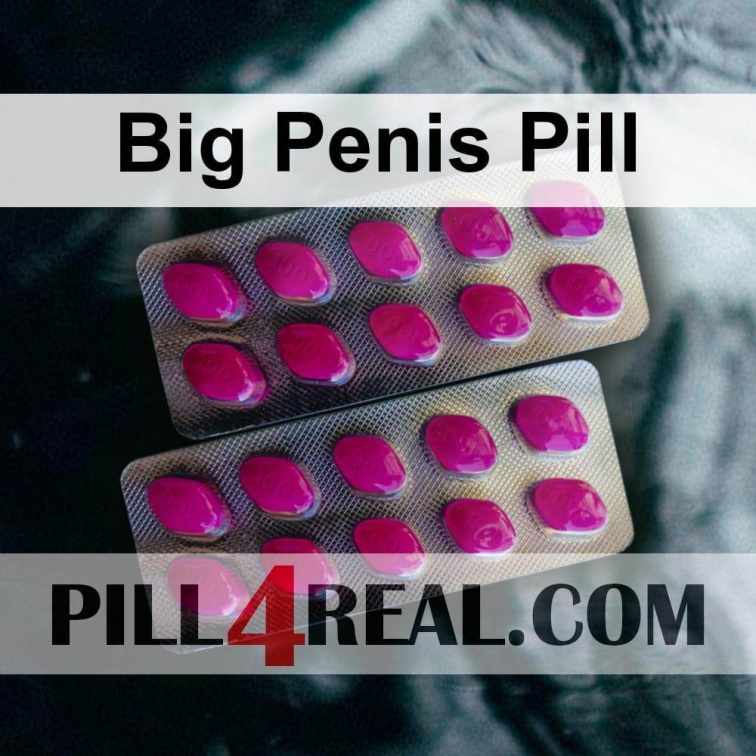 Big Penis Pill 979