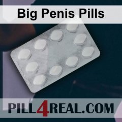 Big Penis Pills 171