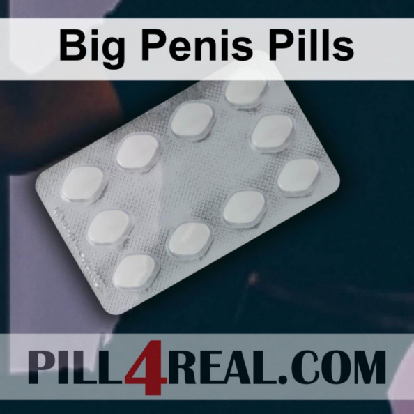 Big Penis Pills 171