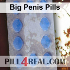 Big Penis Pills 213