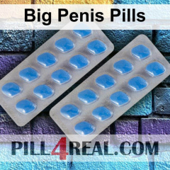 Big Penis Pills 273