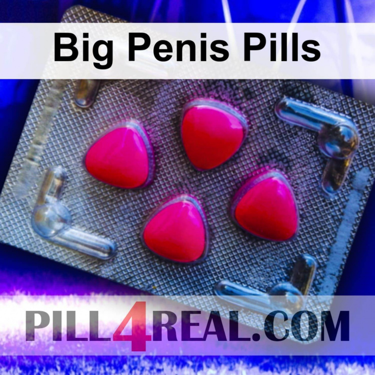 Big Penis Pills 314