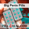 Big Penis Pills 428