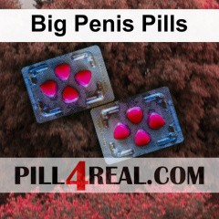 Big Penis Pills 527